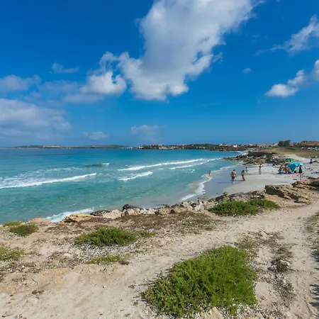 Musetti 푸트주 이두